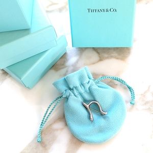 Tiffany & Co Sterling Silver Elsa Peretti Alphabet N Pin Brooch